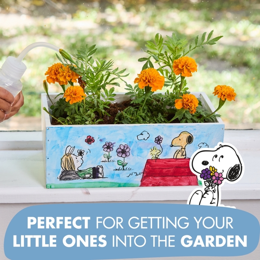Garden Republic Peanuts Paint and Plant Starter Kit, Marigolds - Picture 2 of 5